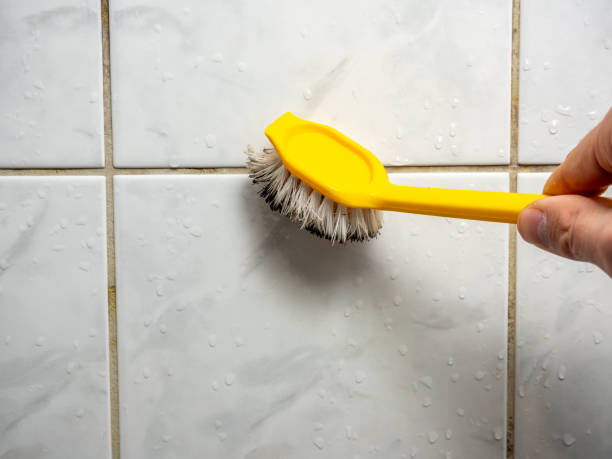 Best Attic Mold Removal  in Lithia Springs, GA