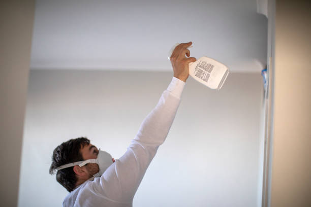 Best Mold Remediation  in Lithia Springs, GA
