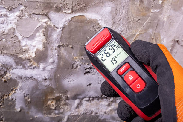 Best Mold Damage Repair  in Lithia Springs, GA
